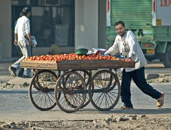 Imad Trabelsi - Le pauvre vends des tomates. Pourquoi il ne vends plus des oursins (ritzi) comme avant? - Der arme verkauft jetzt Tomaten. Warum verkauft er nicht mehr Seeigel wie früher?